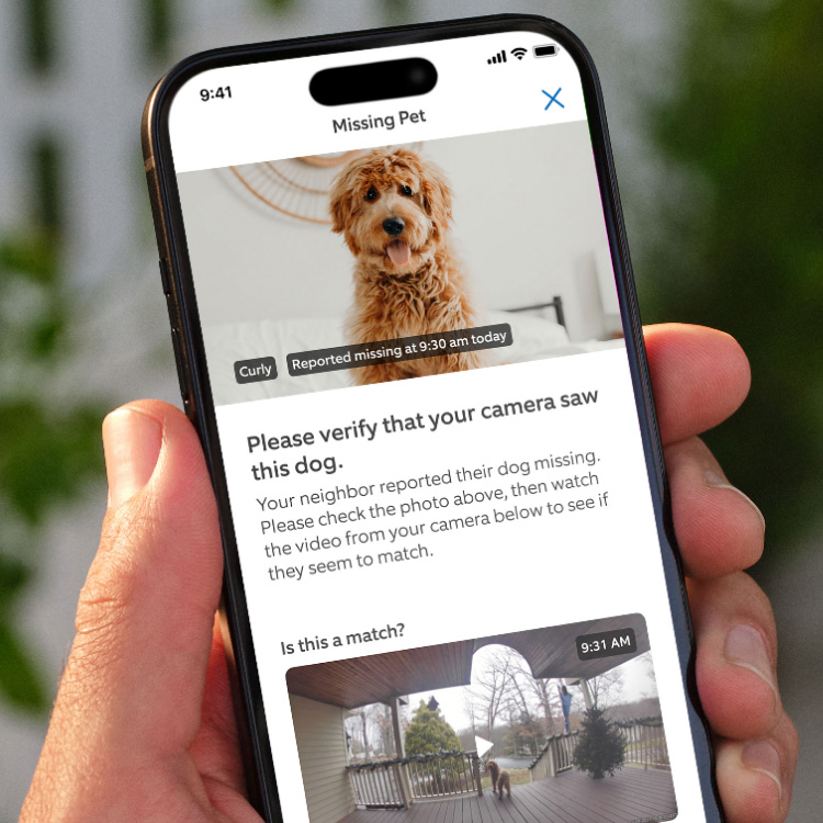 Smart phone displaying a missing pet alert for a fluffy golden doodle named Curly with security camera footage below.