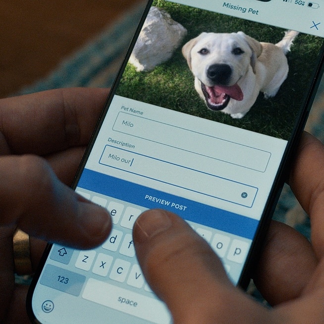 Hands holding smartphone with pet profile form showing a happy white dog named Milo and partially completed description.
