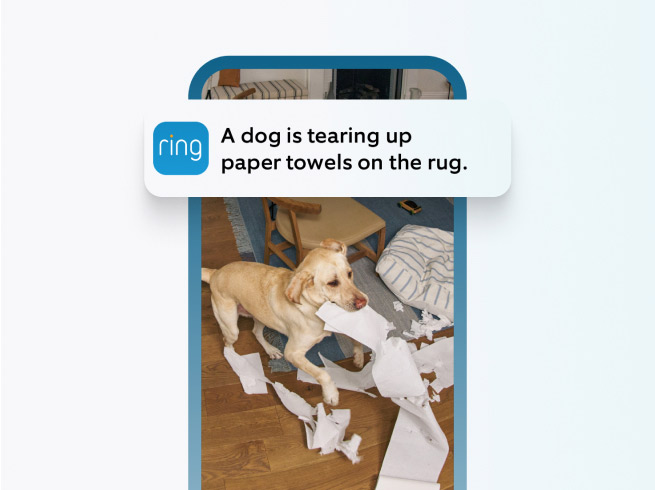 Smartphone outline with motion alert that reads 