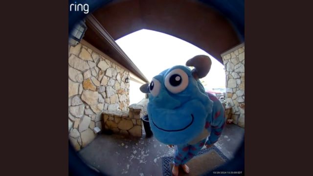 Man in blue monster costume appears at door