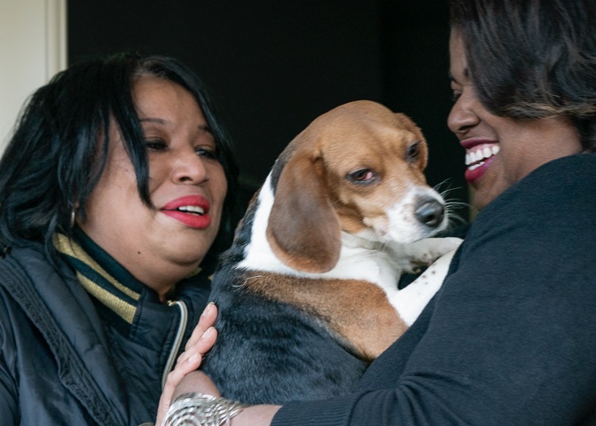 Pets head home with help from neighbors.