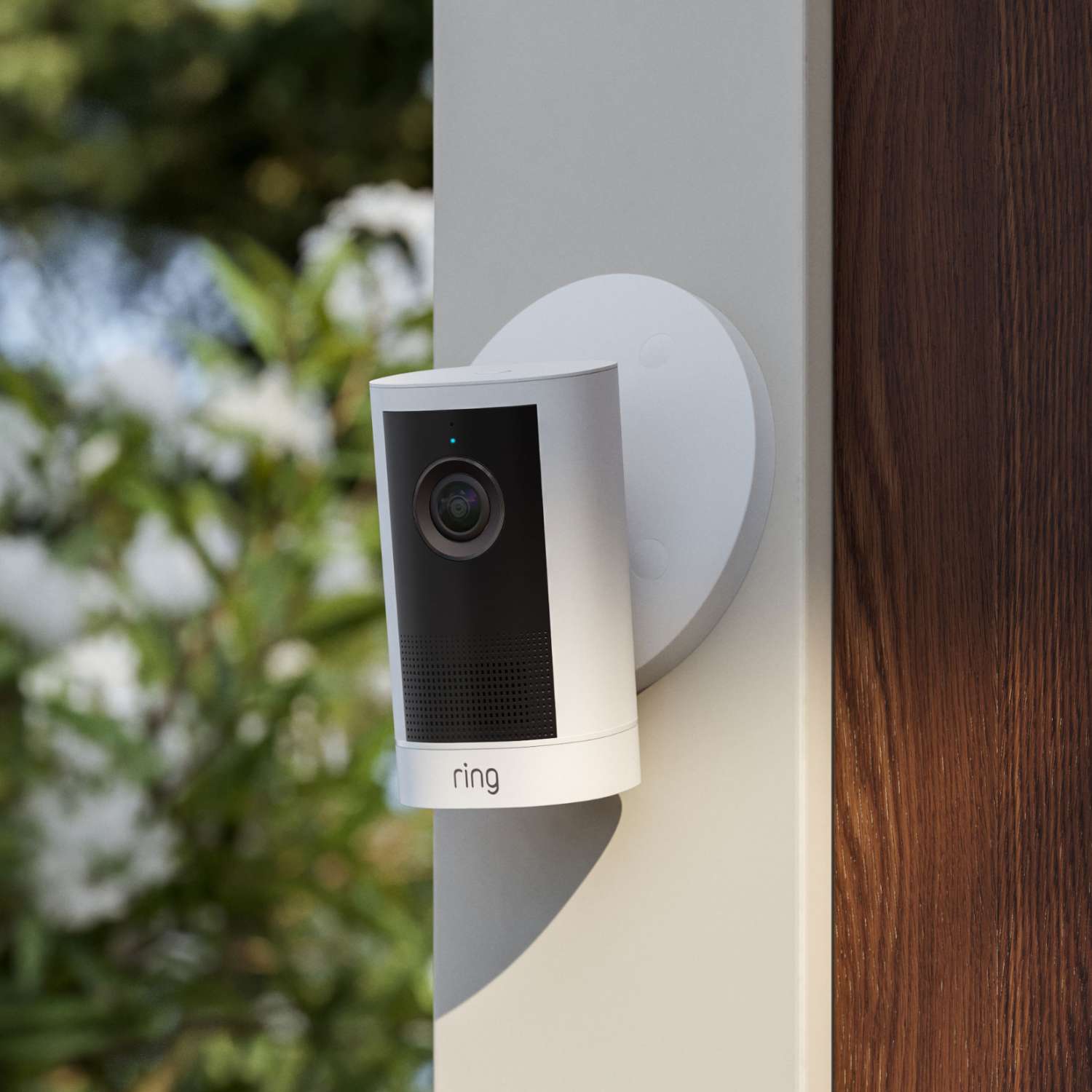 Outdoor Cam 4K Plus  - Wired:White Ring outdoor security camera mounted on a wall near a wooden doorframe, with greenery softly blurred in the background.