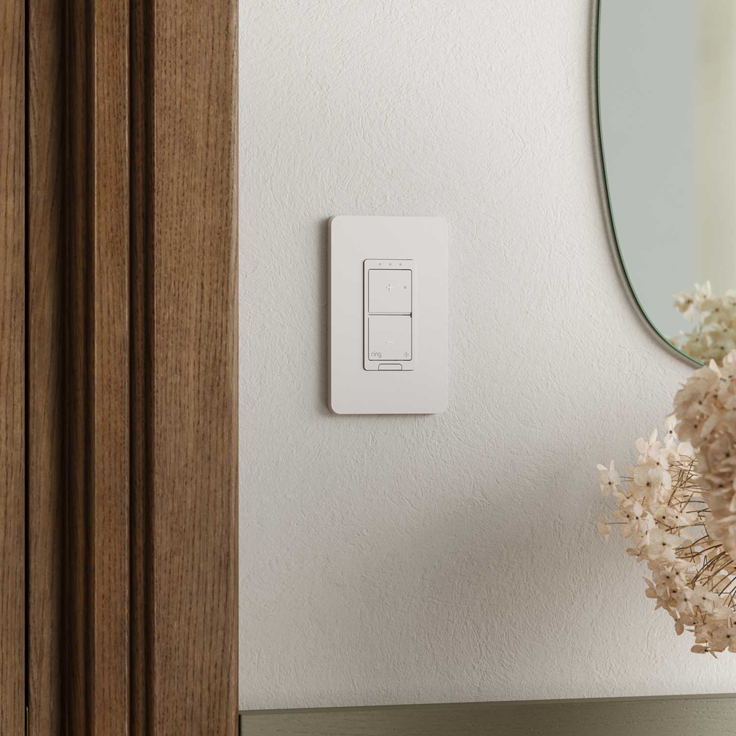 Smart Fan Control - Smart Fan Control on a wall in the living room.