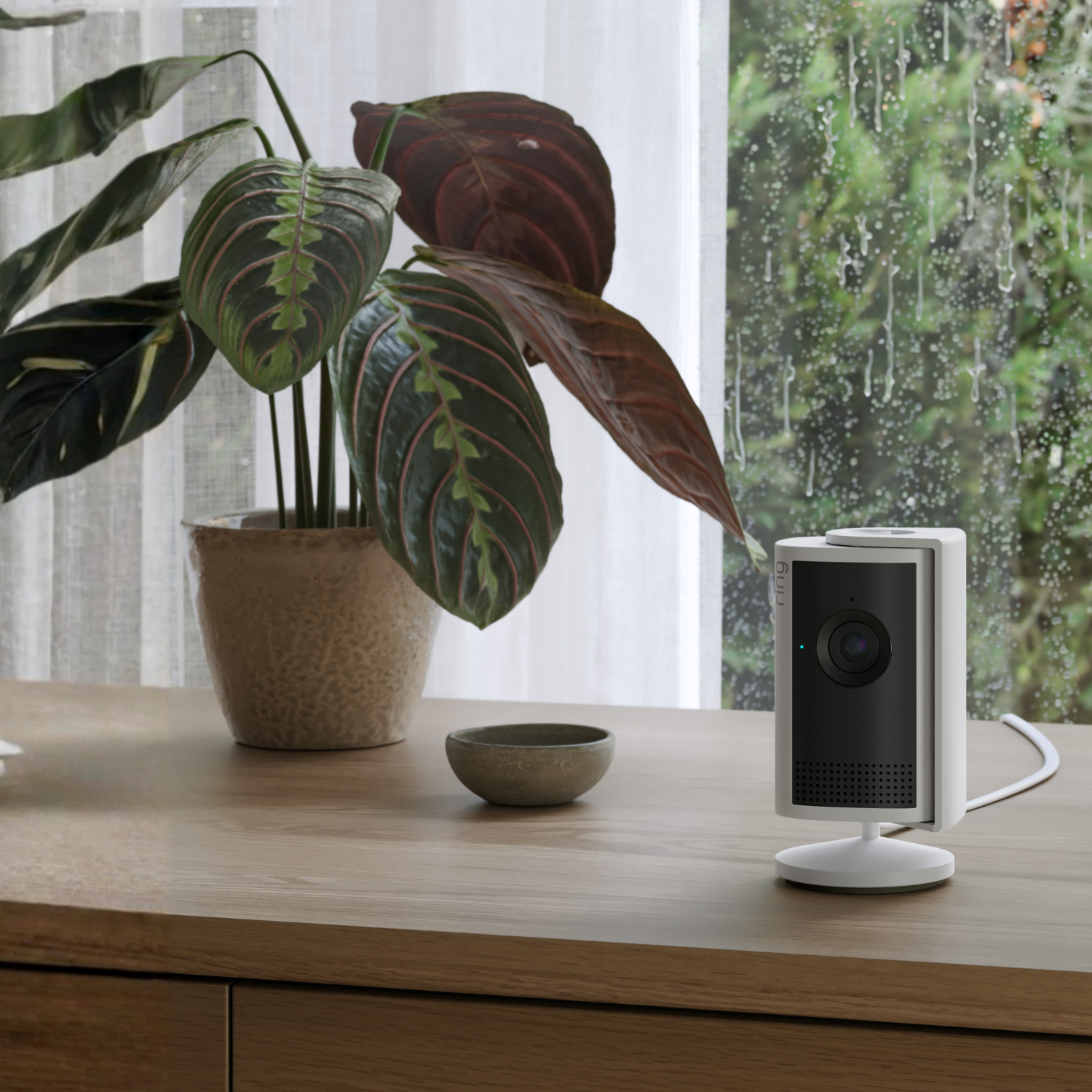 Indoor Camera Plus - Retinal 2K