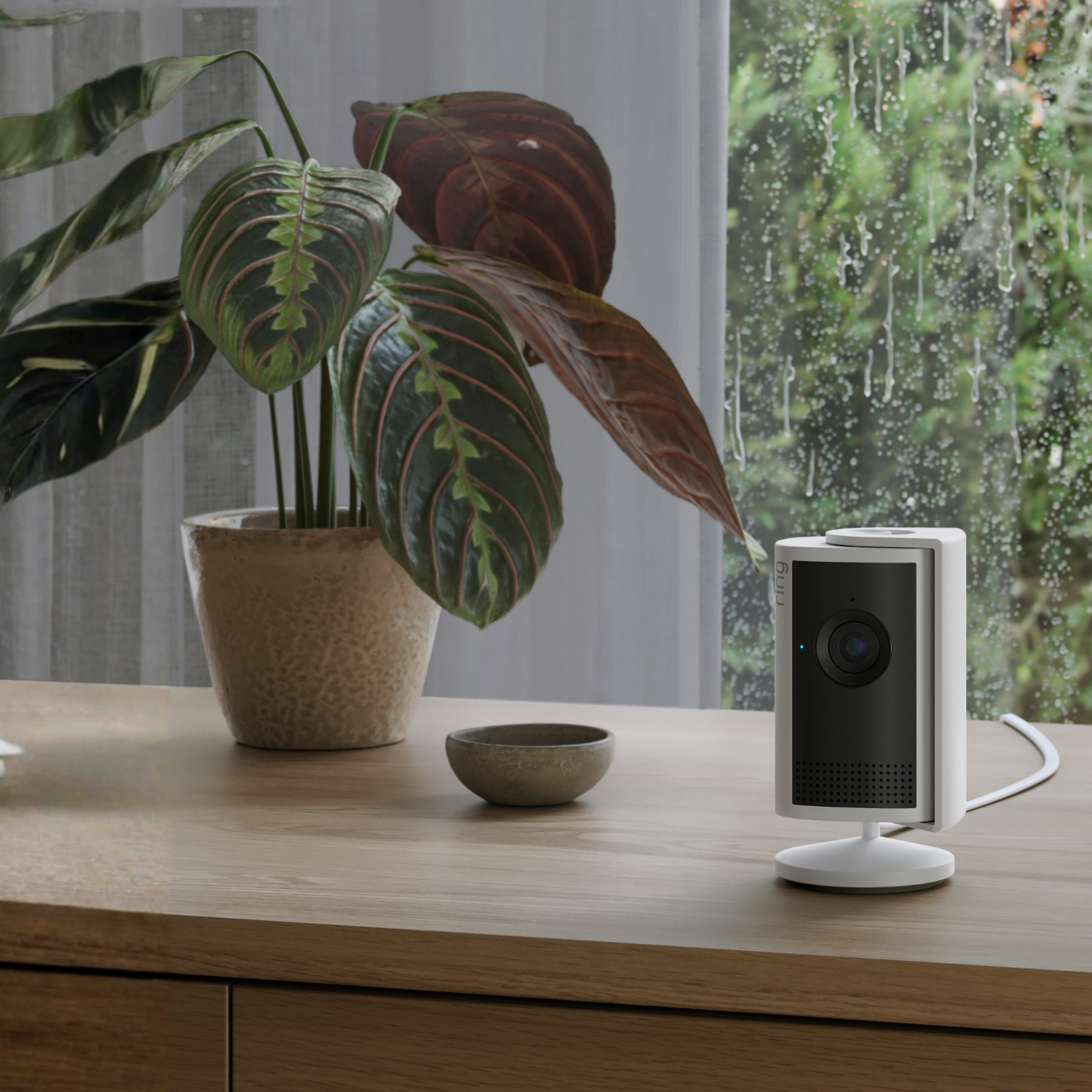 Indoor Camera Plus - Retinal 2K