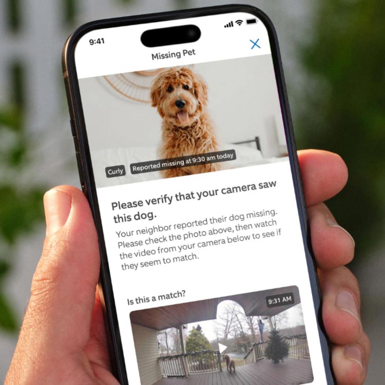 A hand holds a phone showing a missing Goldendoodle named Curly, with a match button and video thumbnail below.