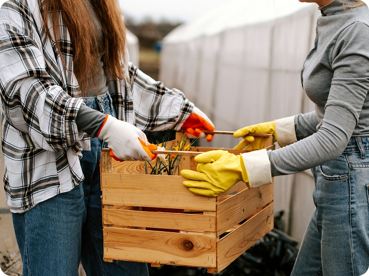 Search Party UGC Module Image 3