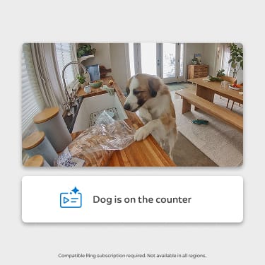 Video Descriptions