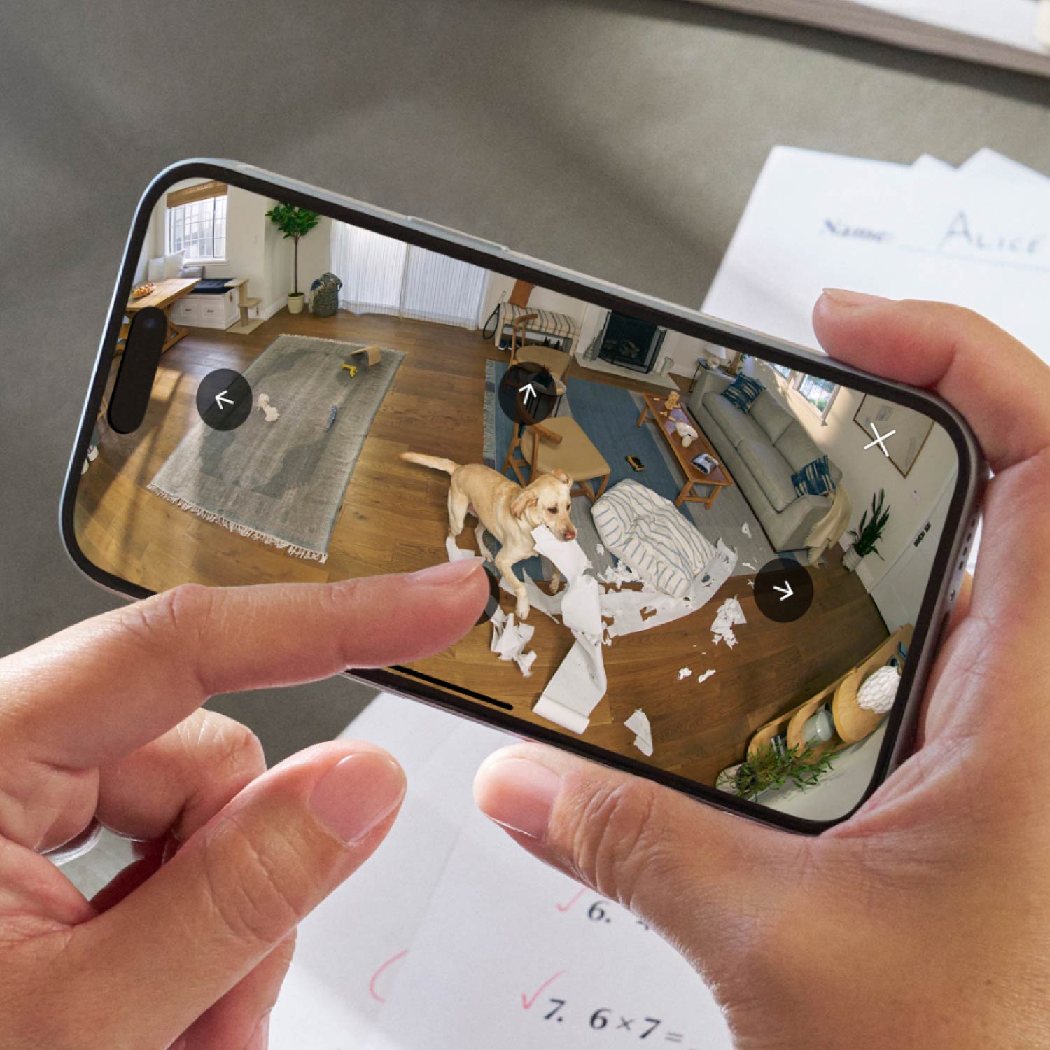 Hands holding a smartphone showing a living room feed with a yellow dog amid torn paper, couch and coffee table in view.