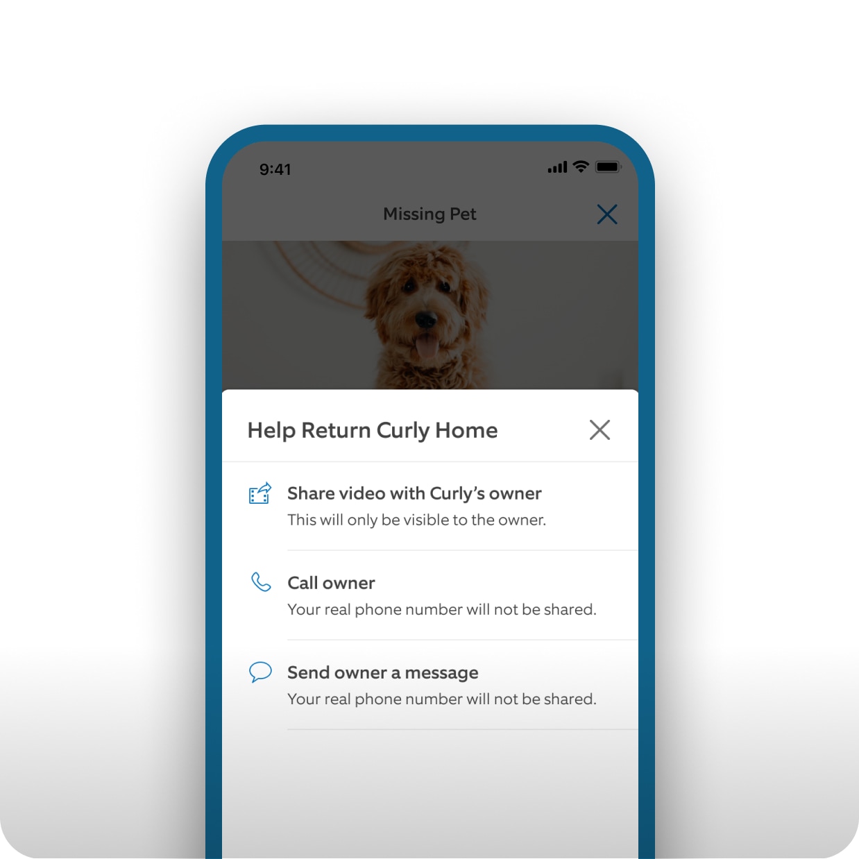 Help reunite. - Asset Wrapper