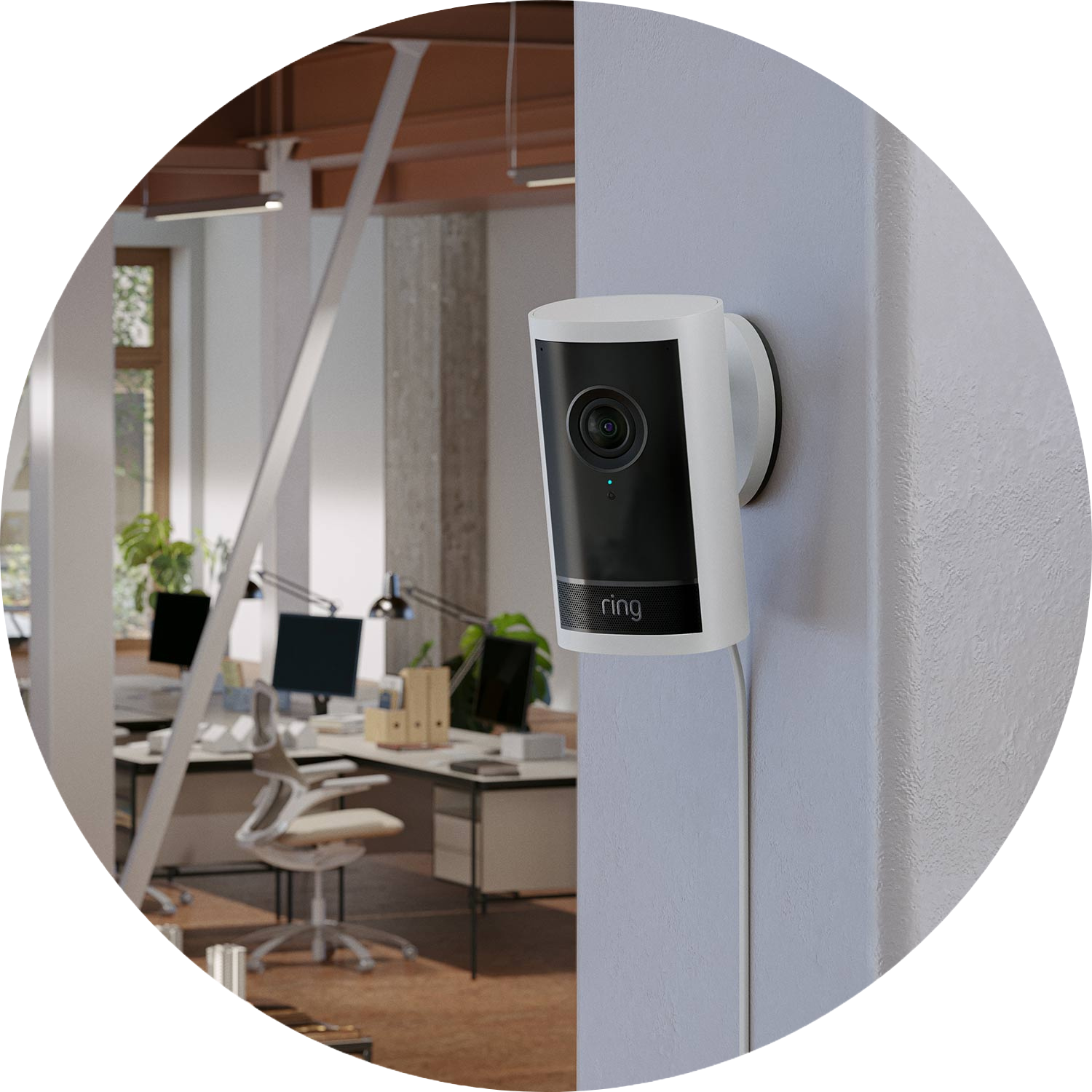 Indoor Camera Plus mounted to wall in office space