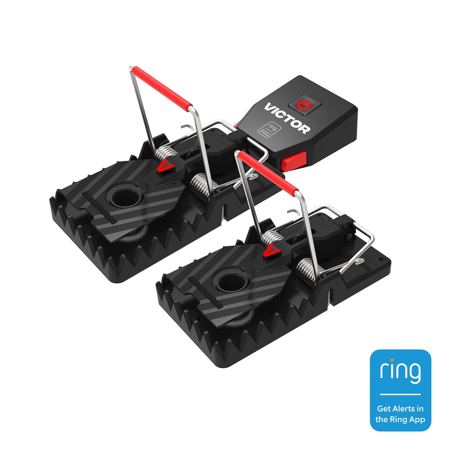 Victor® Smart Rat Trap, Indoor Snap Trap  - Two black and red Victor smart rat traps with metal bars and serrated jaws on a white background, shown with a Ring app alert badge.