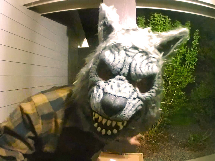 A person in a wolf costume standing in the front porch.