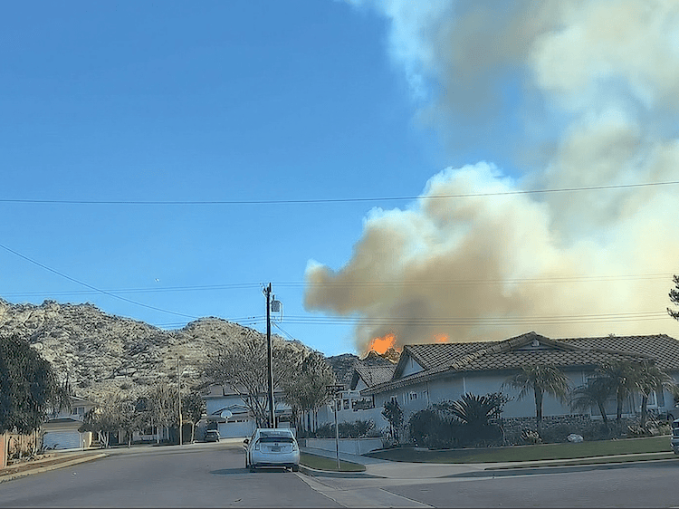 Search Party UGC Module Image 2