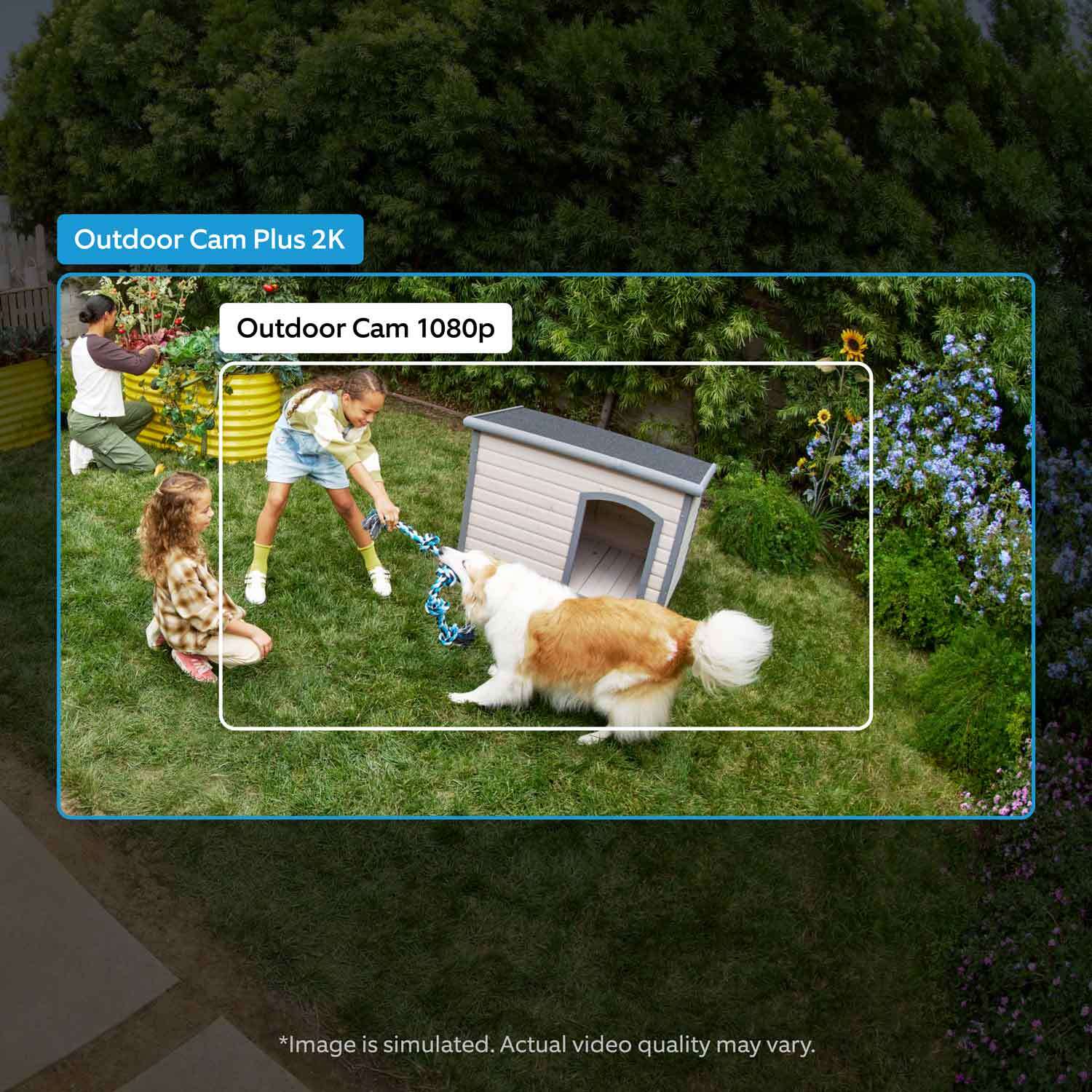Outdoor Cam Plus (Featuring 2K Video with Ring Vision) - Battery:A girl playing tug-of-war with a dog shown in an outdoor cam 1080 p resolution in comparison to outdoor cam plus 2k, which shows a wider field of view.