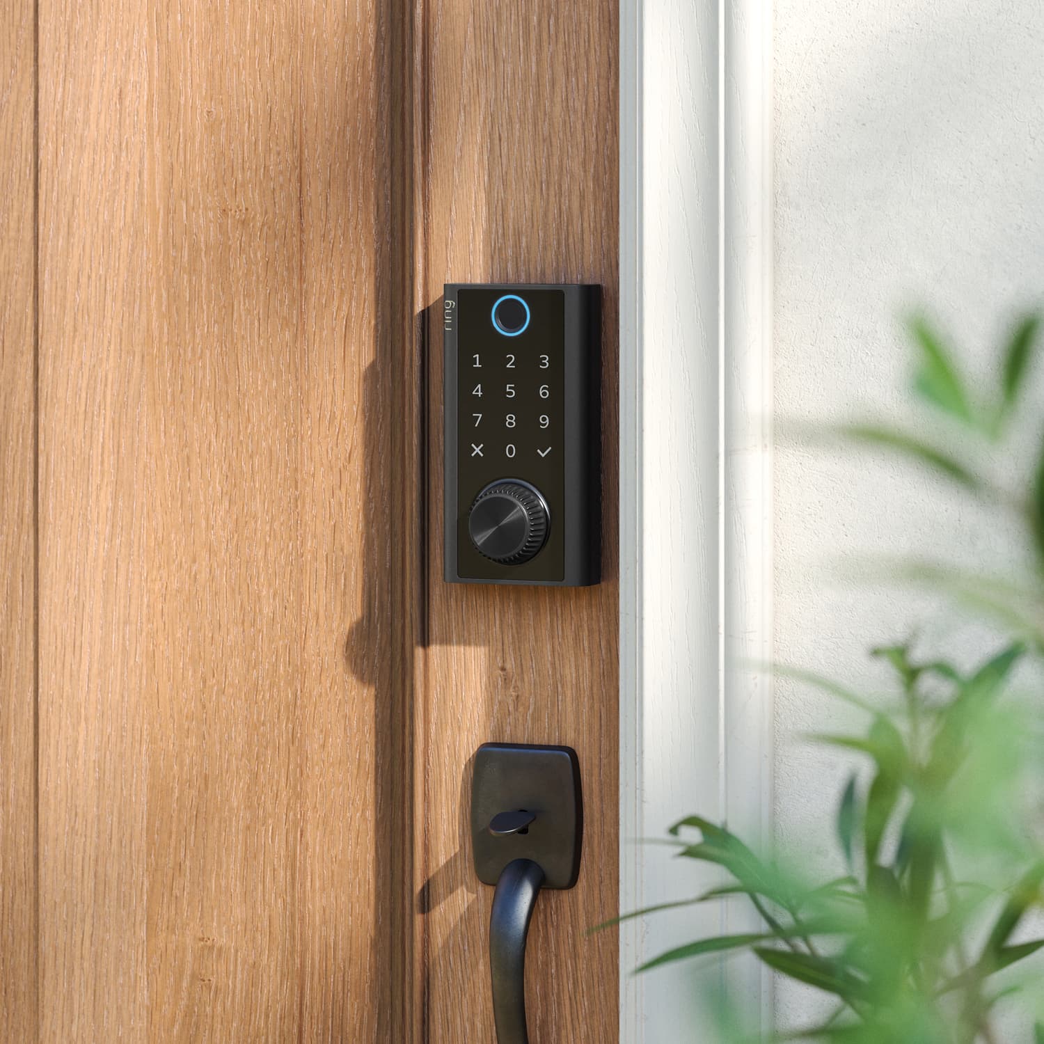 Smart Lock - Smart black keypad deadbolt with dial on a wooden front door, blue ring lit, next to a dark handle and greenery in soft daylight.