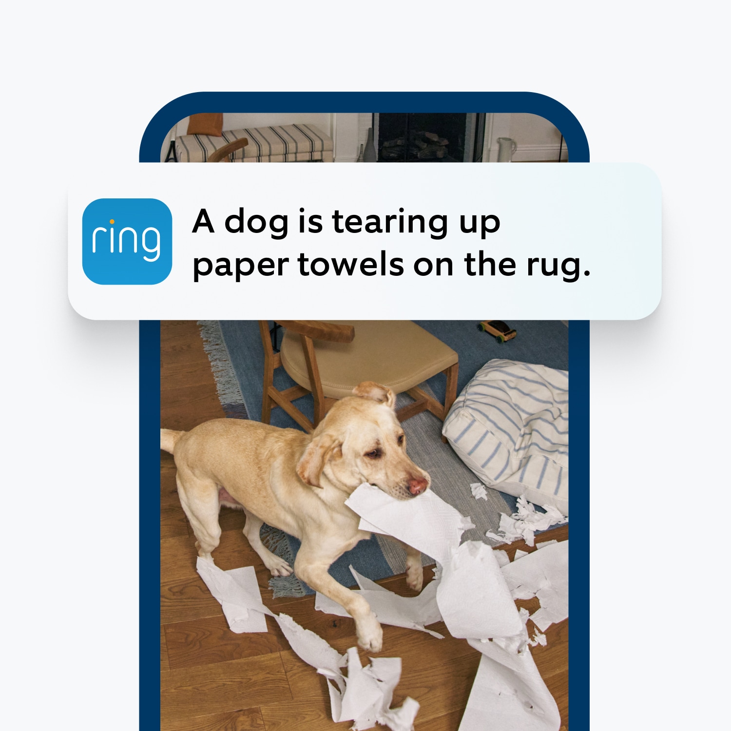 Ring app notification on a smartphone screen reads 'A dog is tearing up paper towels on the rug,' in a descriptive alert.