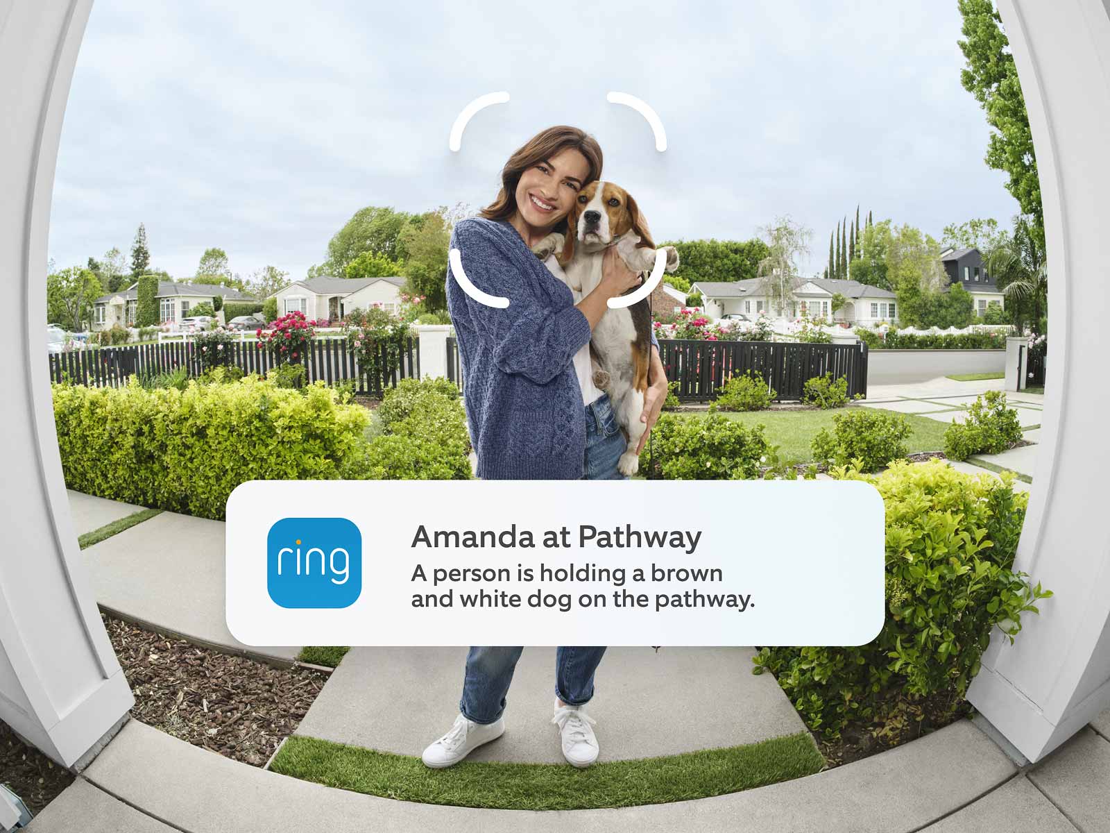 ing app alert on a phone reads: “Amanda at Pathway. A person holding a brown and white dog on the pathway.