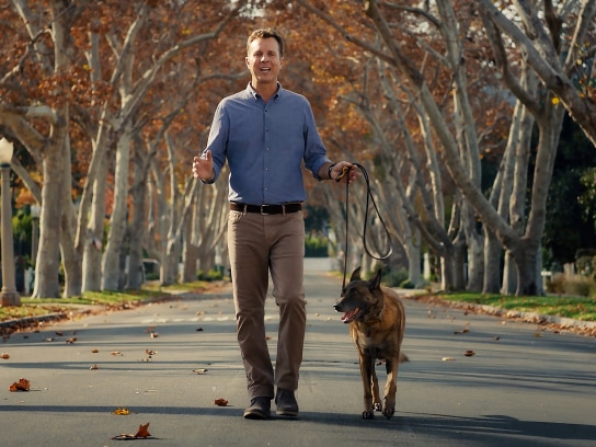 Person in blue shirt walking a dog on tree-lined autumn street with fallen leaves scattered on the pavement.