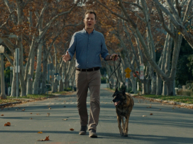 Person in blue shirt walking a dog on tree-lined autumn street with fallen leaves scattered on the pavement.