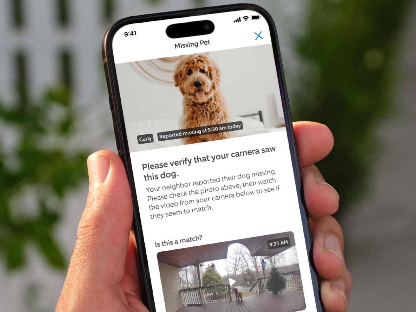 A hand holds a phone showing a missing Goldendoodle with the text 