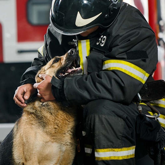 Firefighter in protective gear comforting a German Shepherd dog, with a fire truck visible in the background.