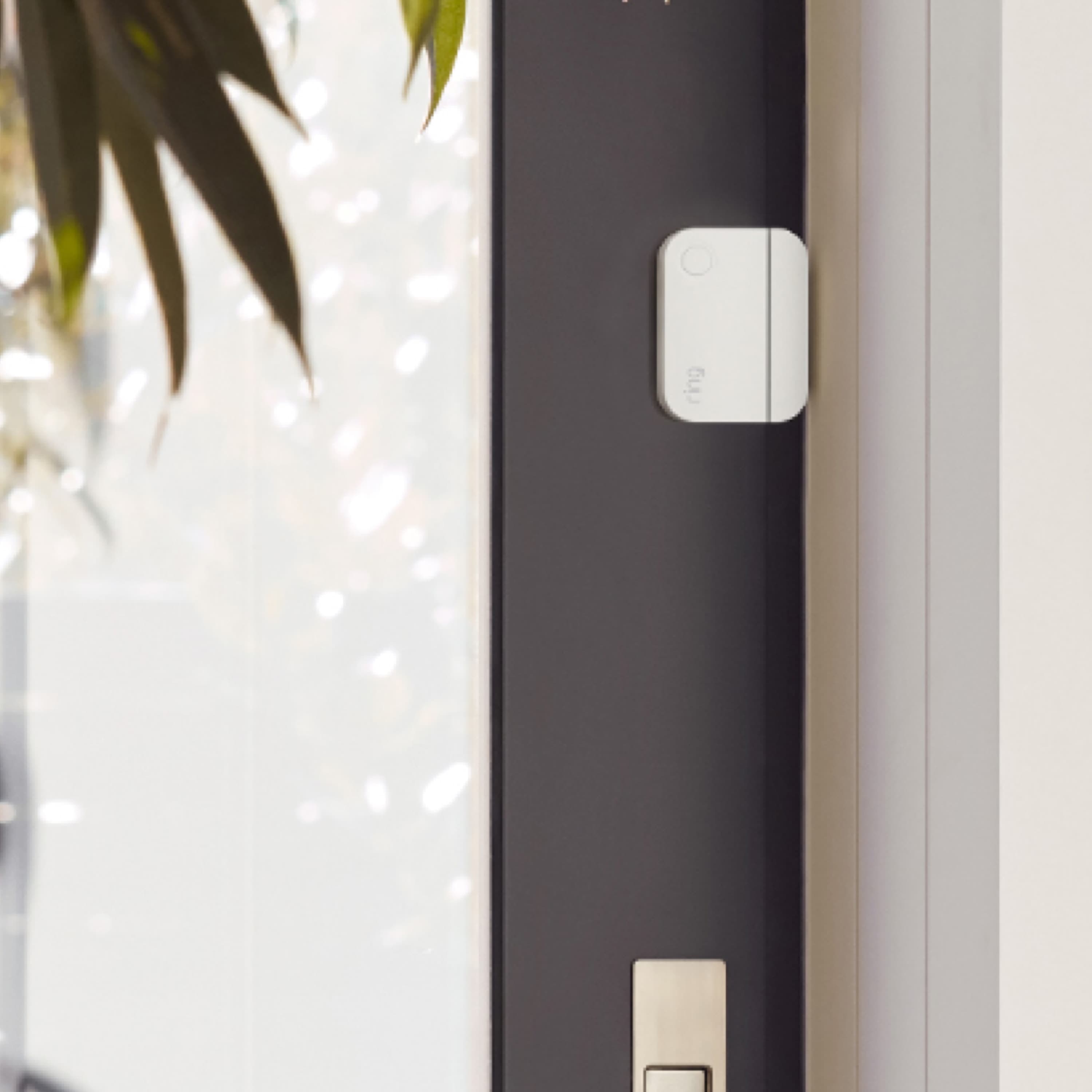 Alarm Window and Door Contact Sensor - Alarm Window and Door Contact Sensor installed on the inside of a front door with glass inlay.