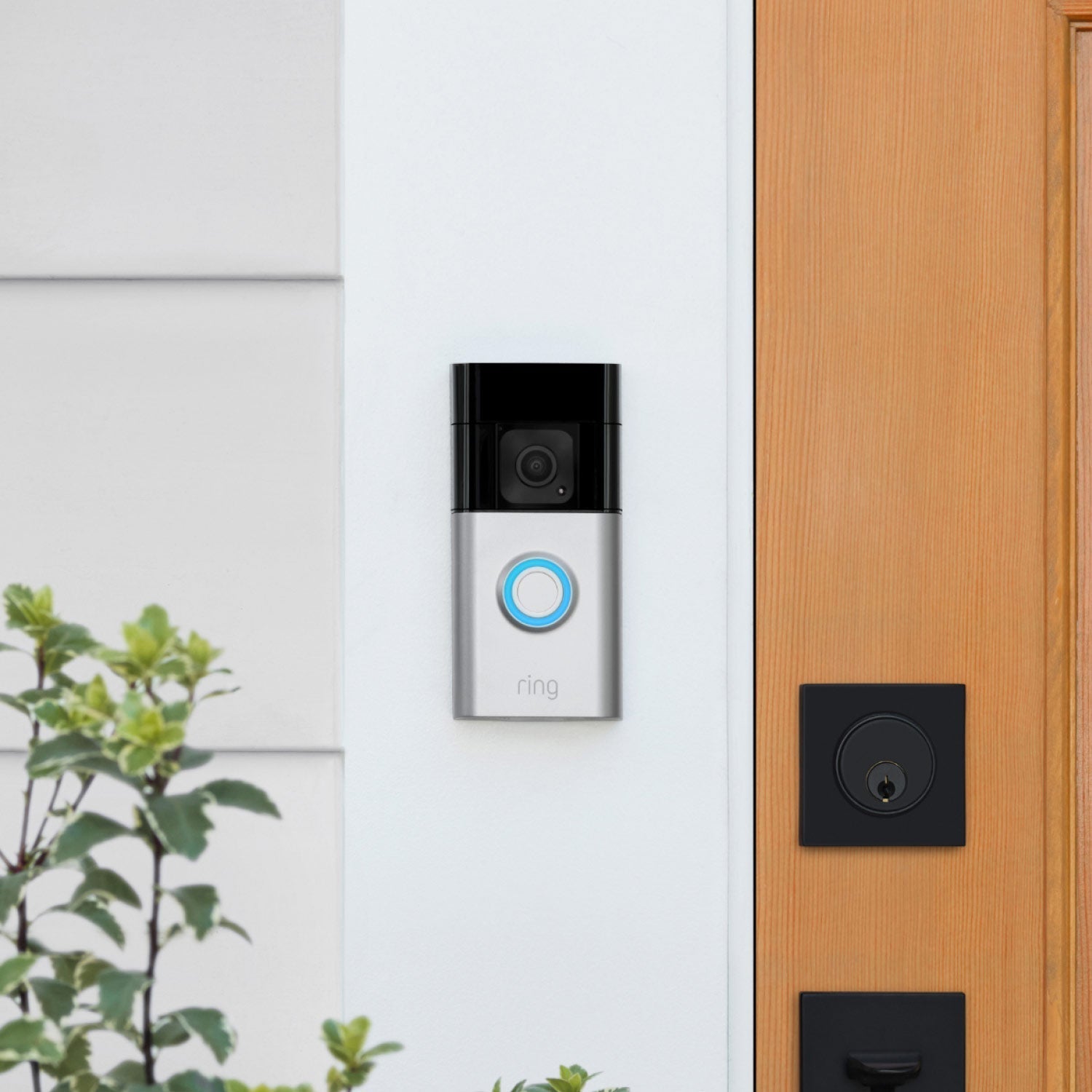 Battery Doorbell Plus - Close-up of Battery Doorbell Plus in satin nickel finish installed next to a front door.