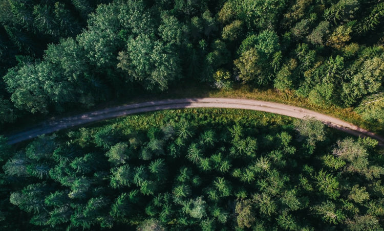 aerial view of a road going through a forest