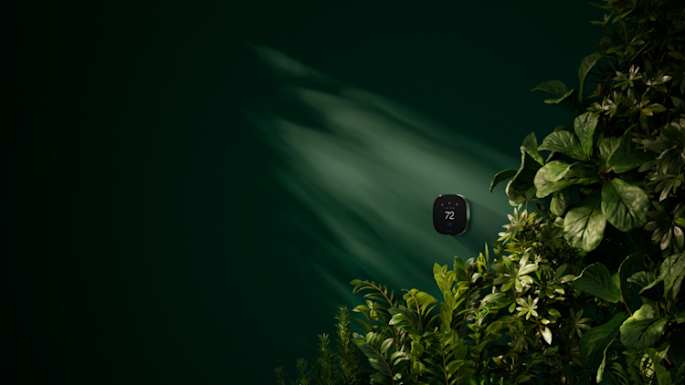 The sun is shining on an ecobee thermostat installed on a dark green wall with luscious green plants beside it.