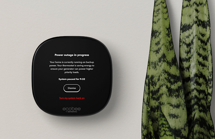 ecobee thermostat on a wall next to a plant
