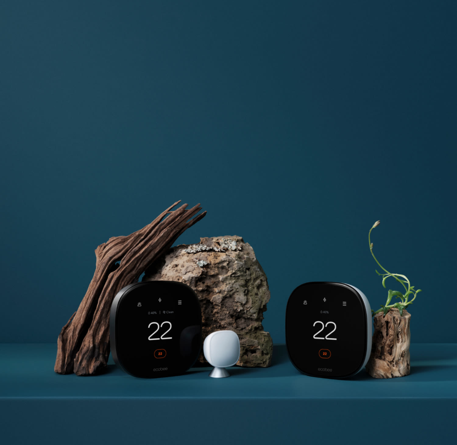 ecobee Smart Thermostat Premium with included SmartSensor and Smart Thermostat Enhanced in still-life scene amidst an arrangement of dried bark, coarse stone and delicate wildflowers on navy blue backdrop.