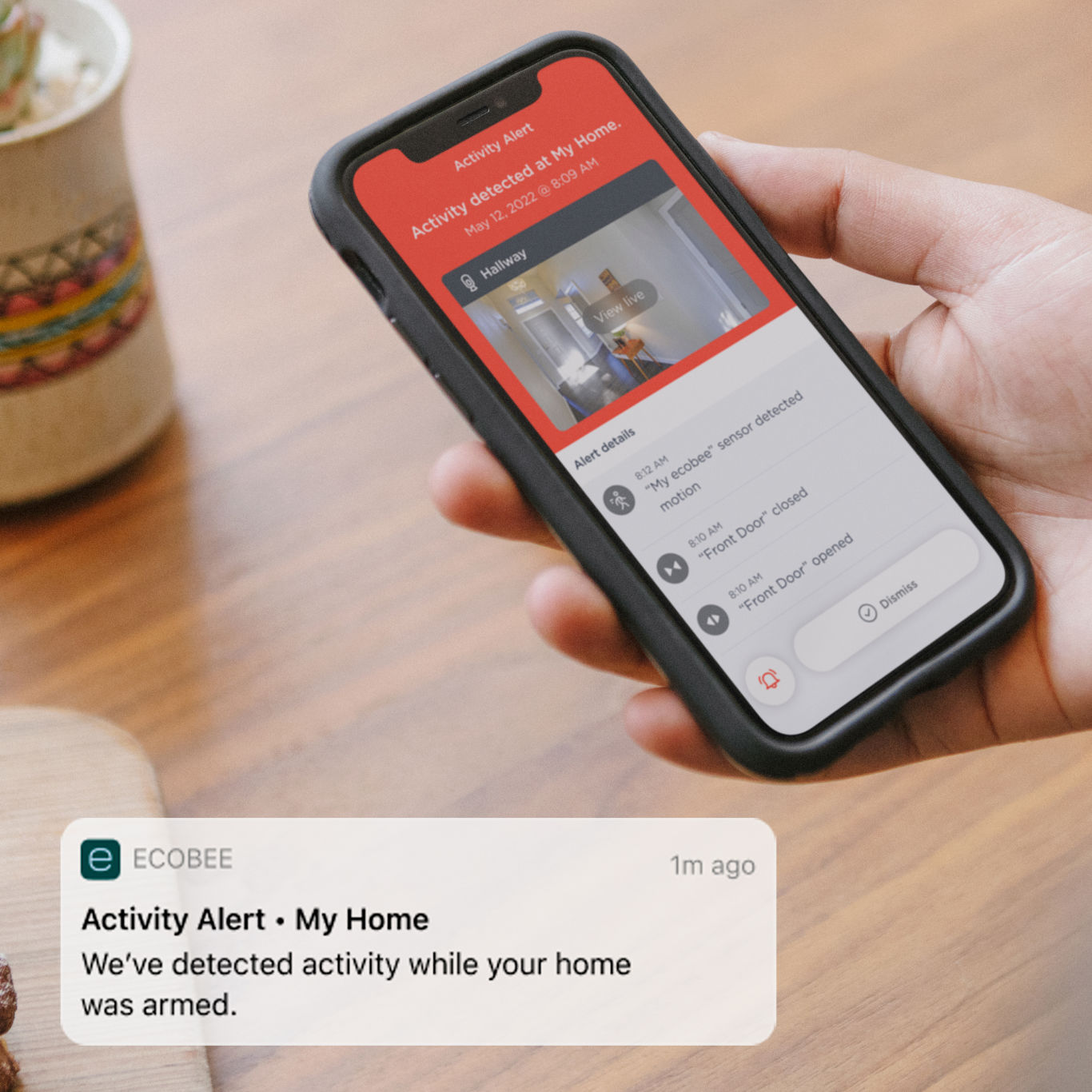 A hand holding a phone; the screen shows the ecobee app and a notification saying "Activity alert - my home"