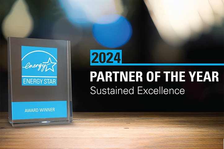 an award sitting next to text reading "2024 partner of the year - sustained excellence"