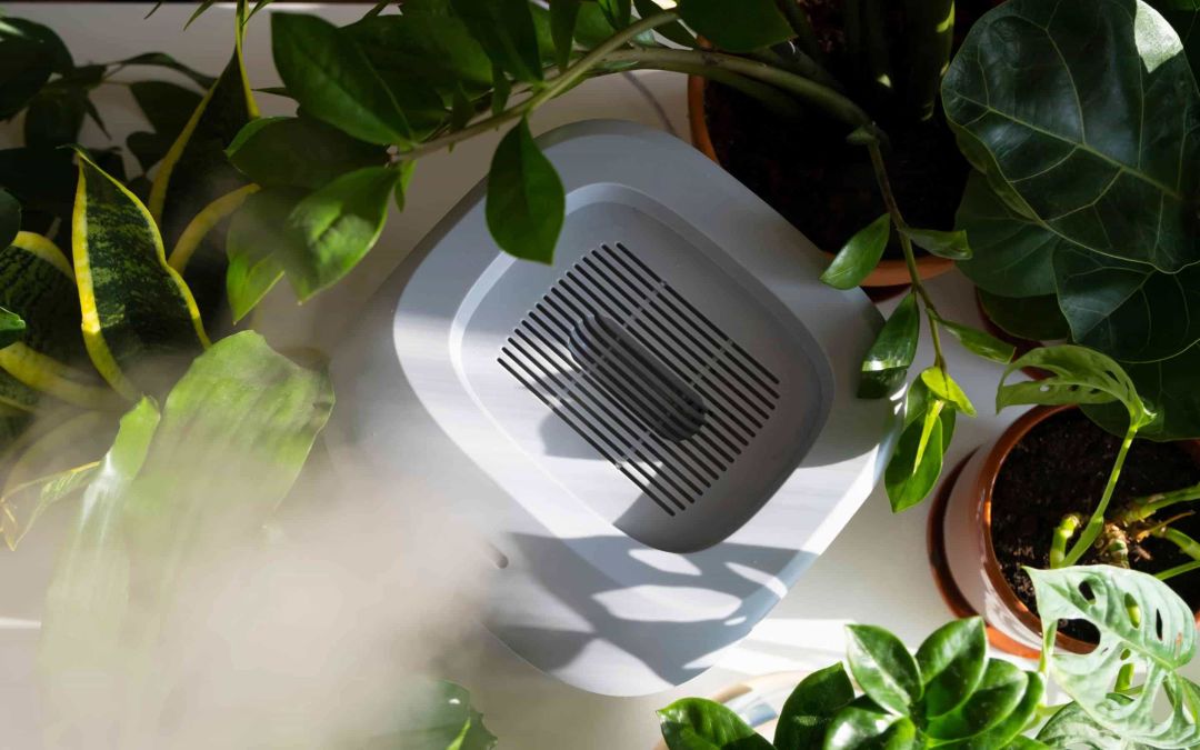Humidifier near plants.