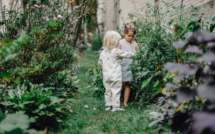 Two children in a backyard.