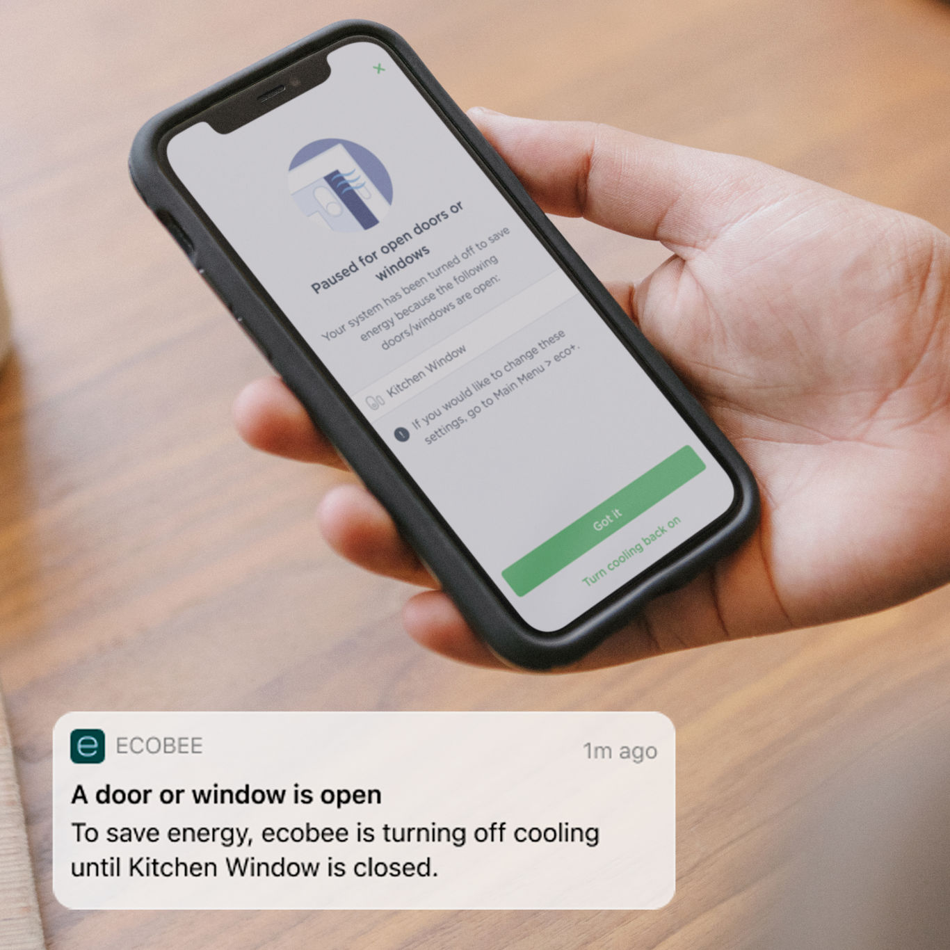 A hand holds a smartphone with the ecobee app on screen; a notification from the ecobee app says "A door or window is open"