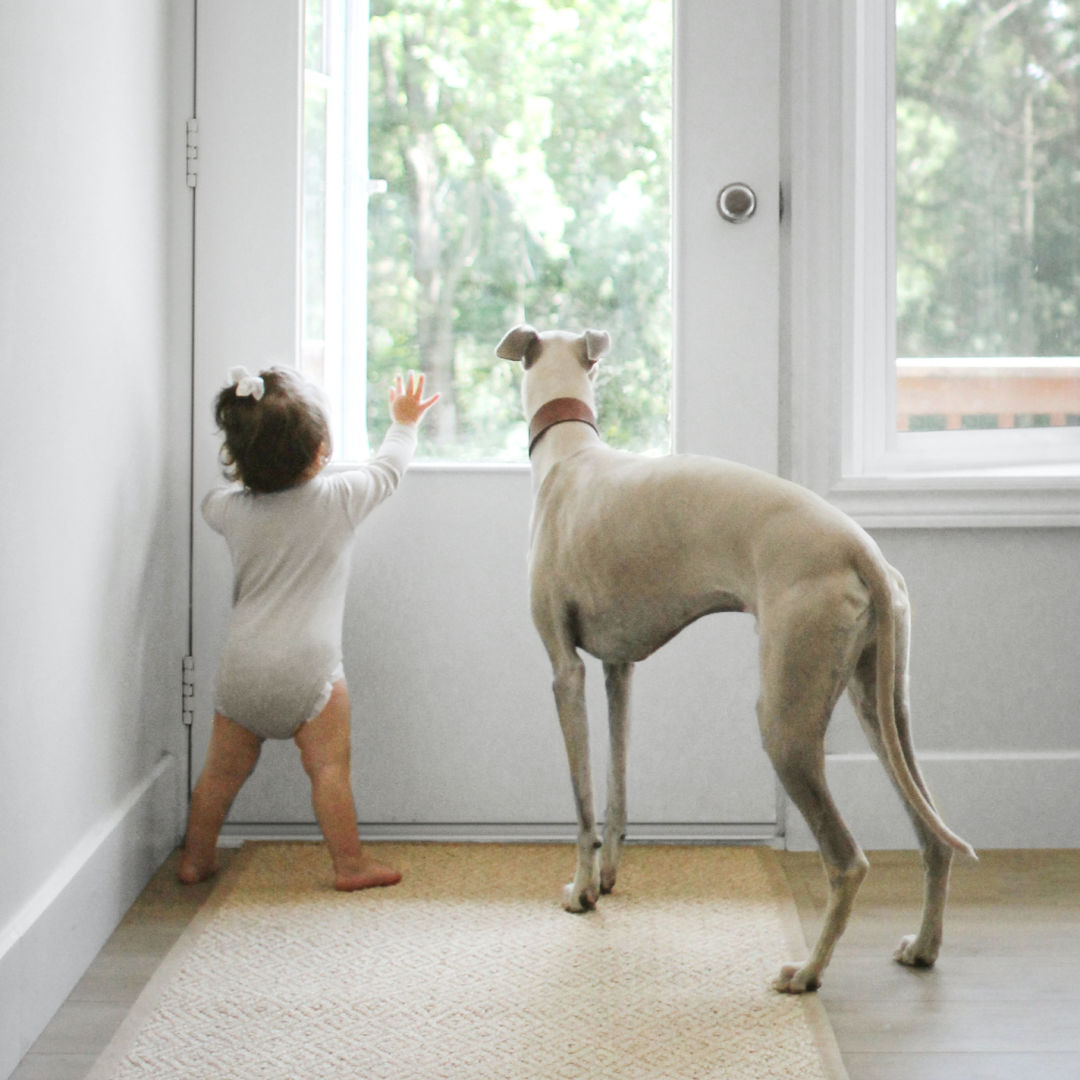 A baby stands at a door next to a dog.