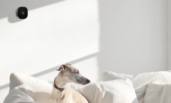 A dog lies on a couch beneath an ecobee thermostat