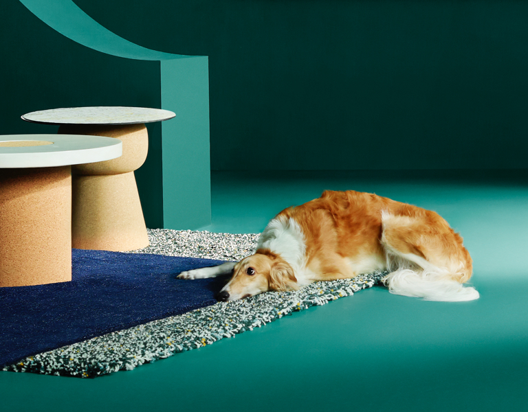 Dog lying on carpet in living room.