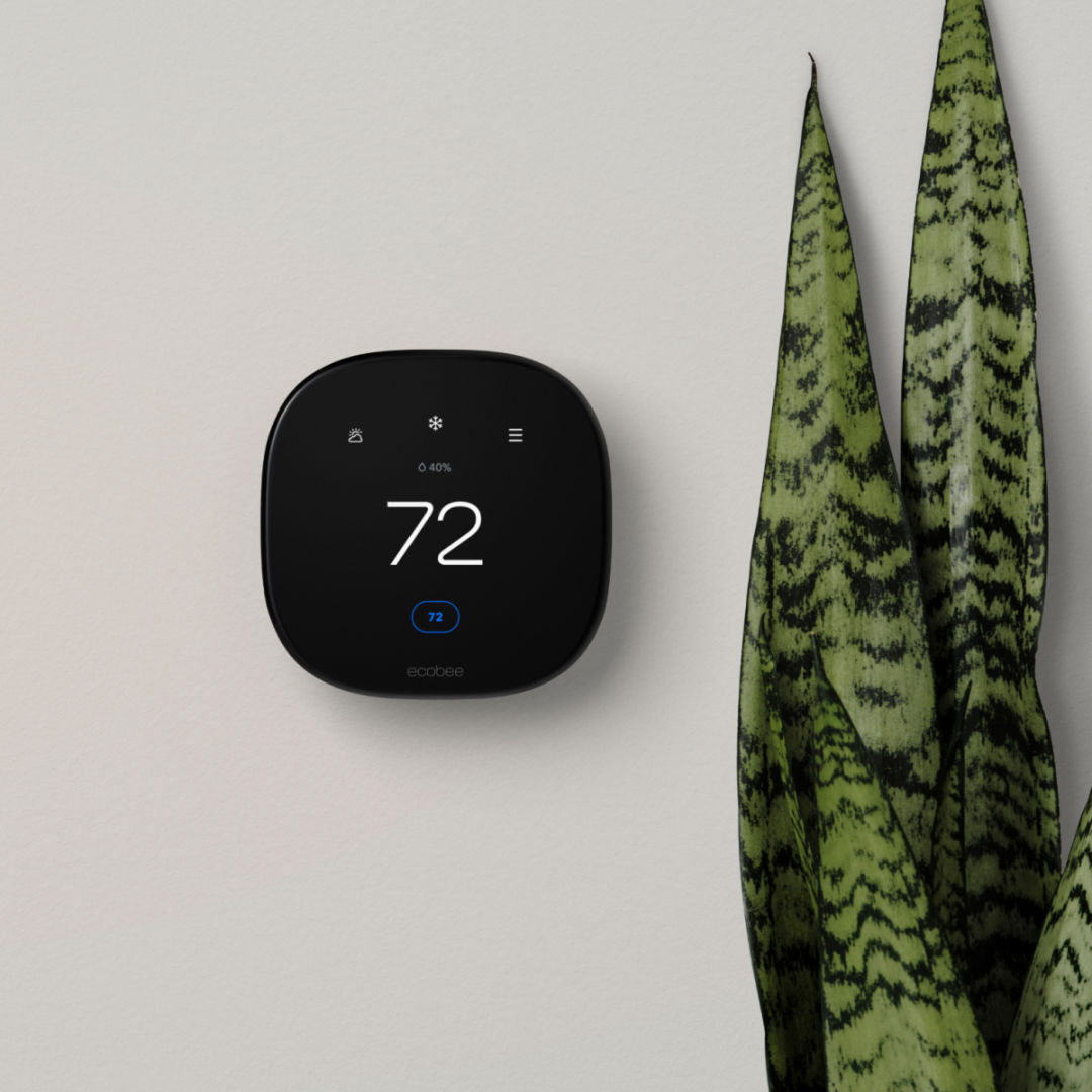 ecobee Smart Thermostat Enhanced on a wall next to a plant