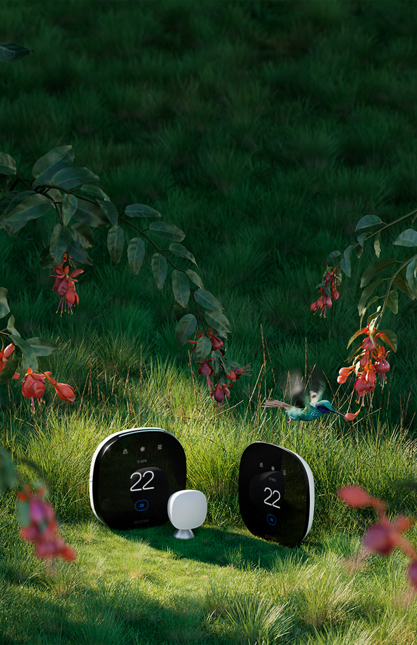 ecobee thermostats on a green background