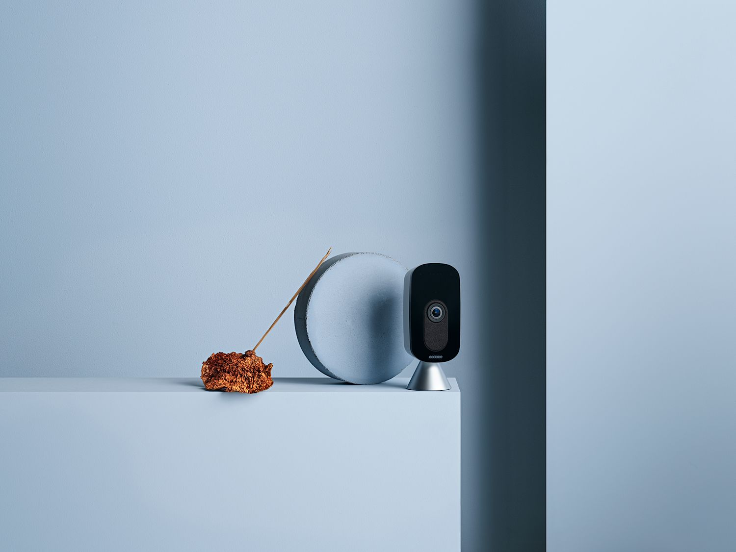 ecobee
