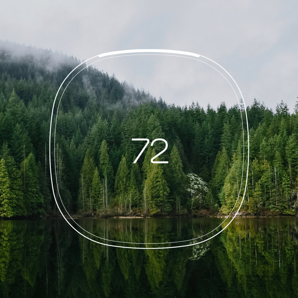 Outline of an ecobee thermostat over a forest background.