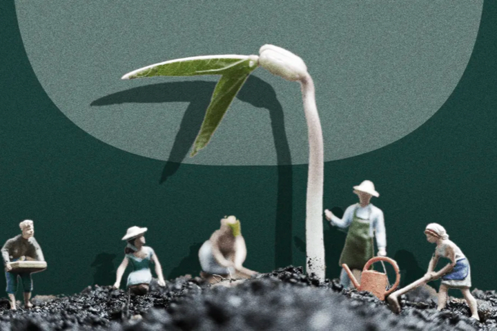 People gardening next to a large sprout.