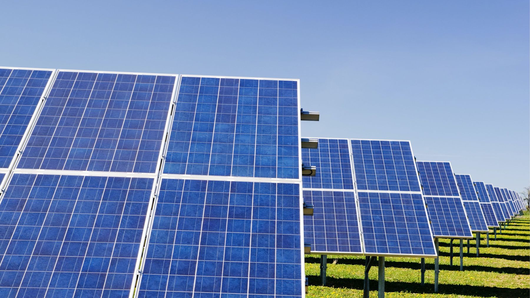 Solar panels in a field. 