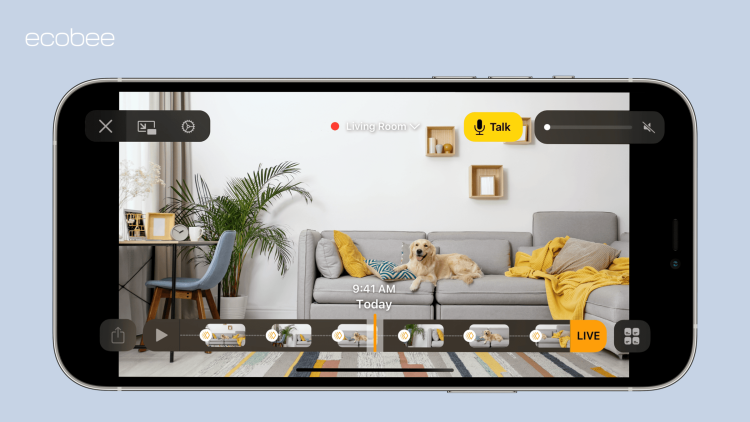 iPhone screen with dog for HomeKit Secure Video