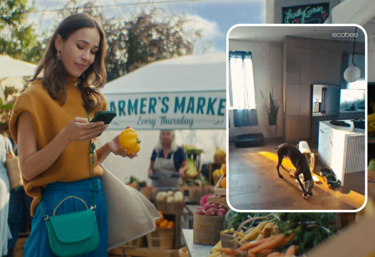 A woman looks at her phone while out and sees a view of her dog at home.