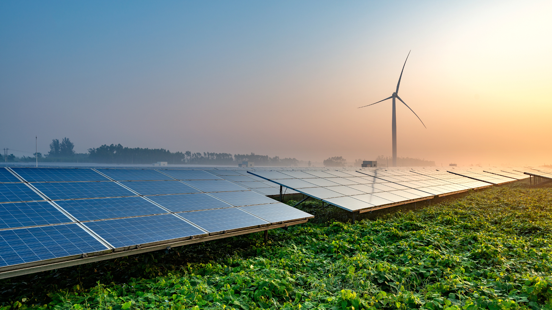 Rows of solar panels in a solar farm at sunset, with a wind turbine visible in the background, representing renewable energy sources working together.