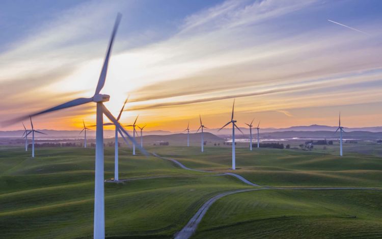 Image of a wind farm at sunset.